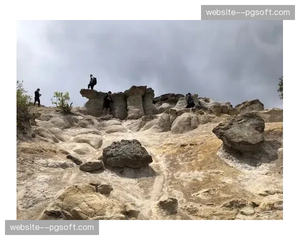 最后热身：美国奥运摔跤队选择在科罗拉多泉基地进行为期三周的封闭训练